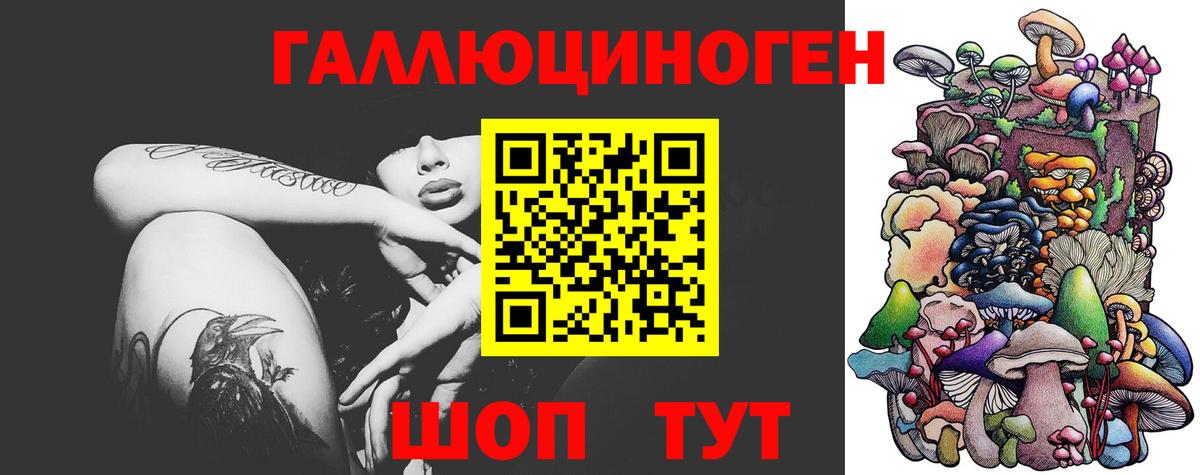 Моздок  Псилоцибиновые грибы MAGIC MUSHROOMS  Вход с VPN  Псилоцибиновые грибы мицелий 